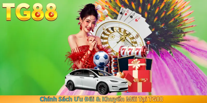 Chính Sách Ưu Đãi & Khuyến Mãi Tại TG88