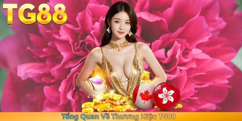 Tổng Quan Về Thương Hiệu TG88